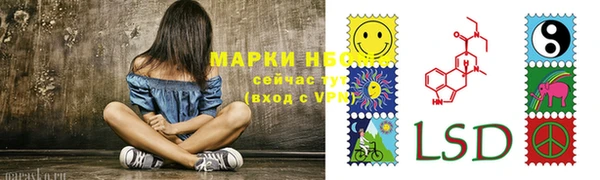 гашик Вязьма