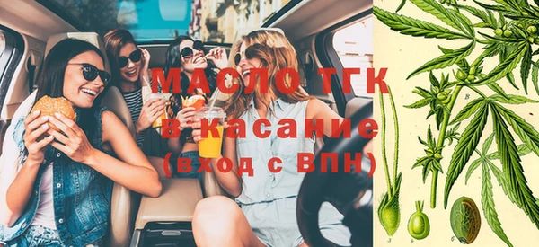 гидра Вязники