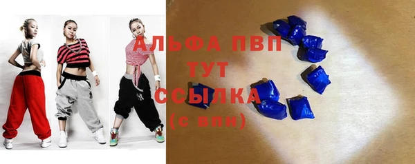 гашик Вязьма