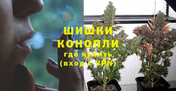 гидра Вязники