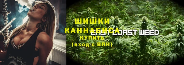 гидра Вязники