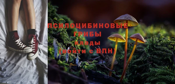 гашик Вязьма