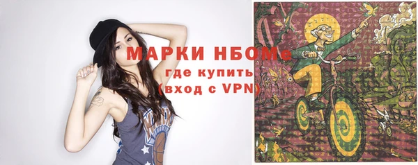 гашик Вязьма