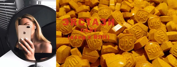 гашик Вязьма