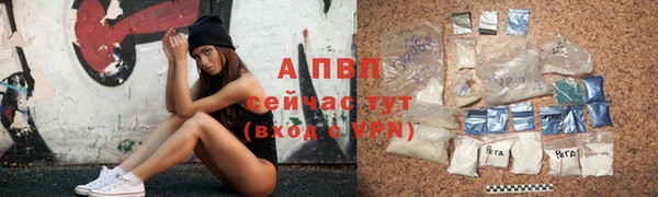 гашик Вязьма